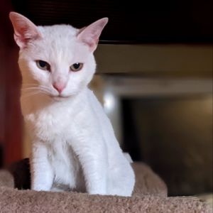 Meet your Posher, Jody